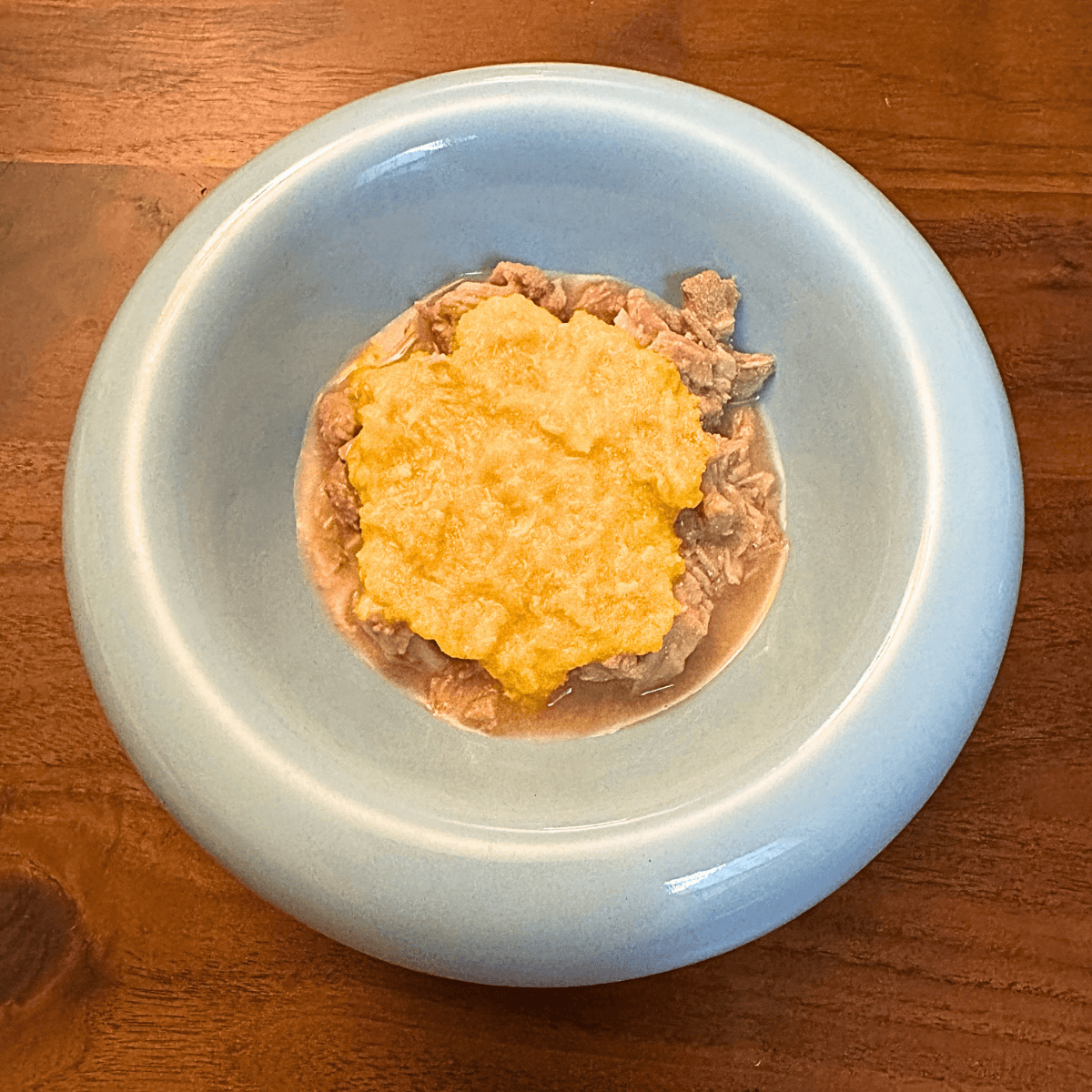 Homemade cat food in a bowl